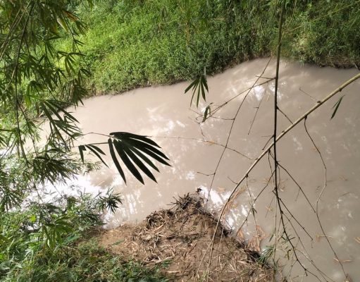 Usai Picu Hujan Abu, Limbah PT Indocement Kini Diduga Cemari Sungai Cijere Bogor